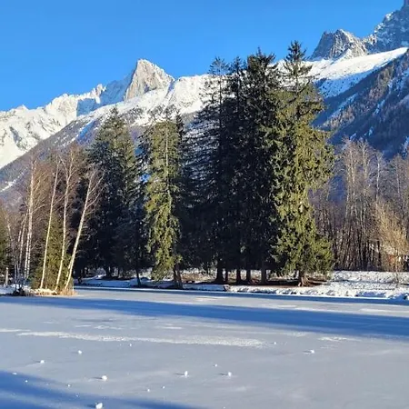 Apartament Plein Sud Vue Mont Blanc Chamonix