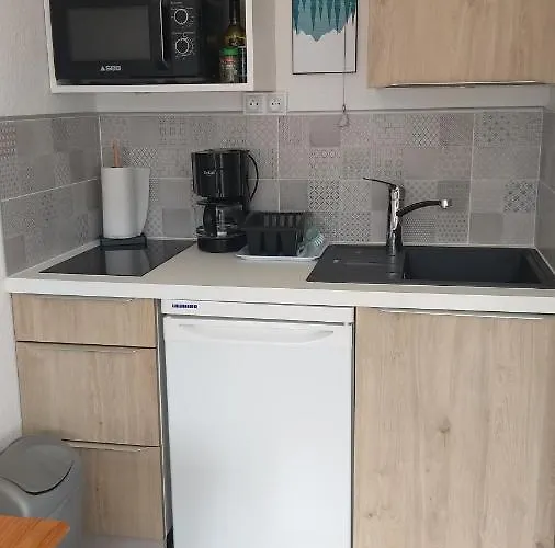 Plein Sud Vue Mont Blanc 公寓 霞慕尼