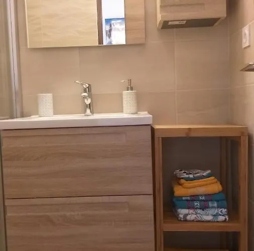 Plein Sud Vue Mont Blanc * 霞慕尼