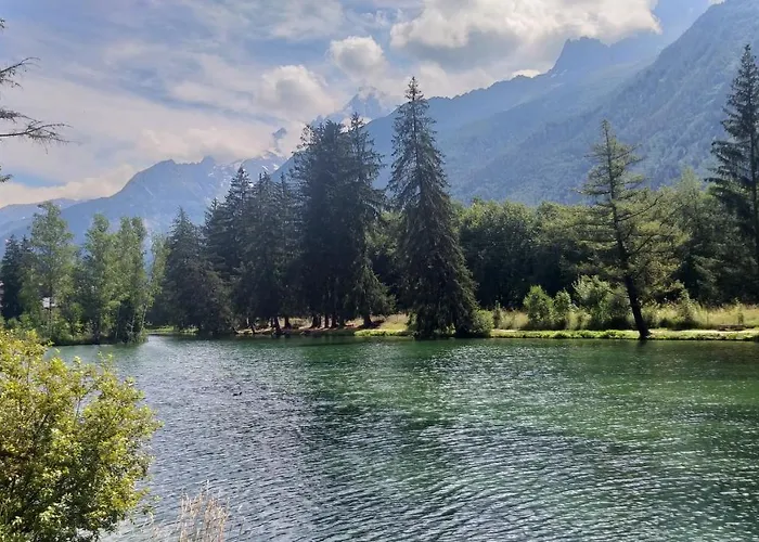 Plein Sud Vue Mont Blanc * 霞慕尼