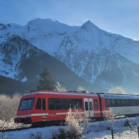 Plein Sud Vue Mont Blanc *