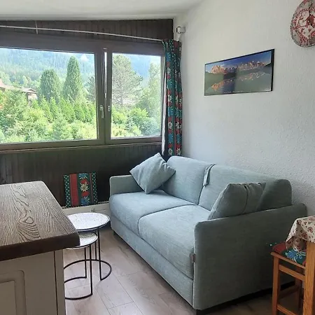 Plein Sud Vue Mont Blanc *