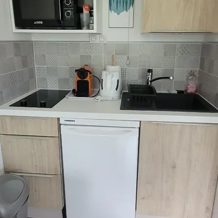 Plein Sud Vue Mont Blanc Chamonix