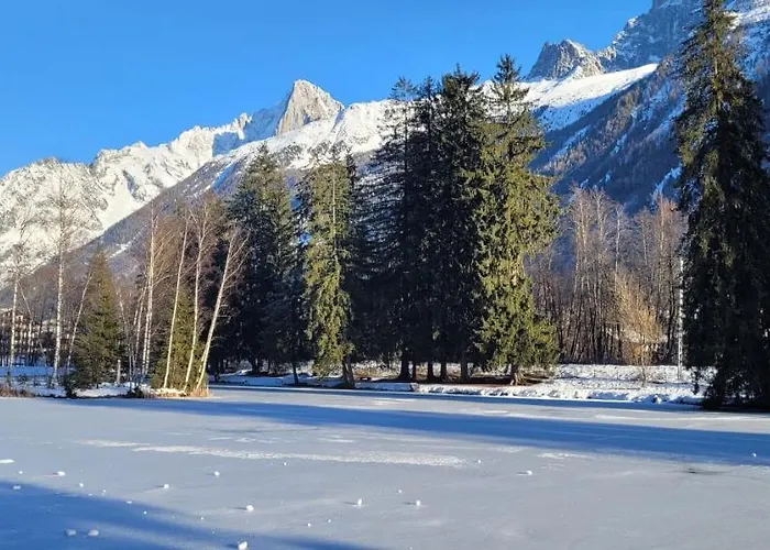 Apartment Plein Sud Vue Mont Blanc Chamonix