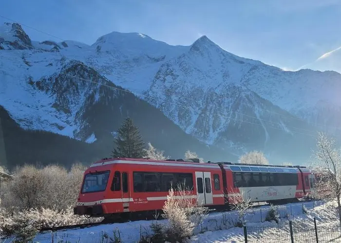 Plein Sud Vue Mont Blanc *