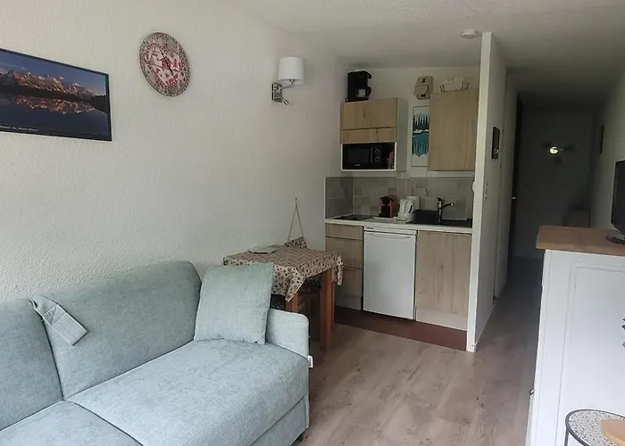 Apartment Plein Sud Vue Mont Blanc *