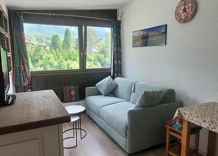 Plein Sud Vue Mont Blanc *